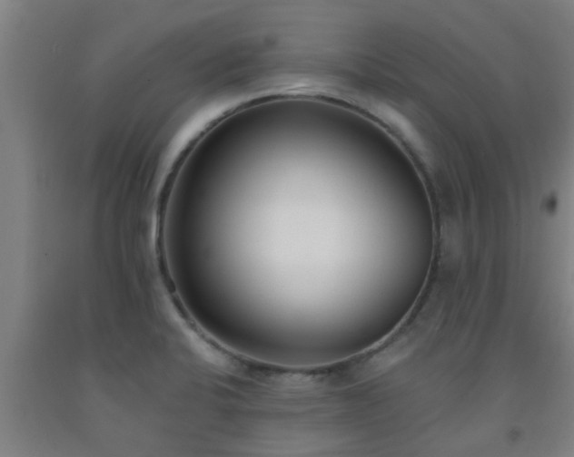 X0000093091424200709261219