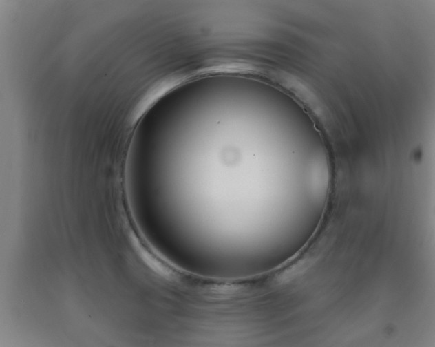 X0000093091425200709261219