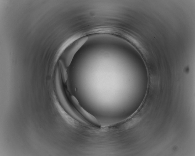 X0000093091426200709261219