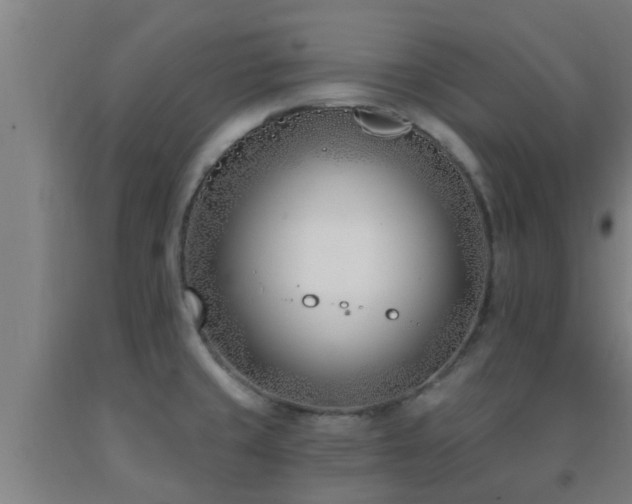 X0000093091429200709261219