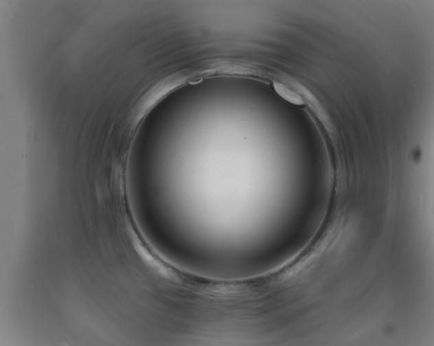 X0000093091433200709261219