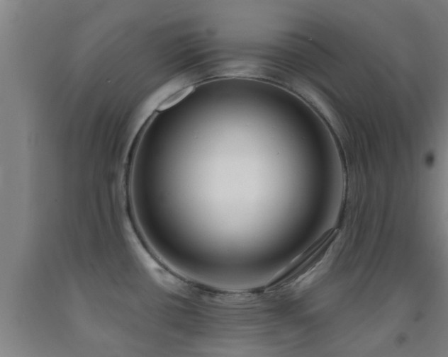 X0000093091434200709261219