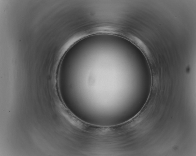 X0000093091435200709261219