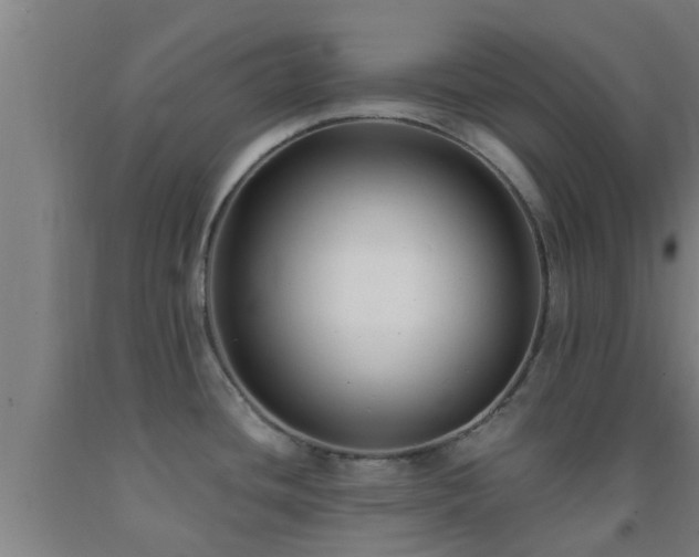 X0000093091436200709261219