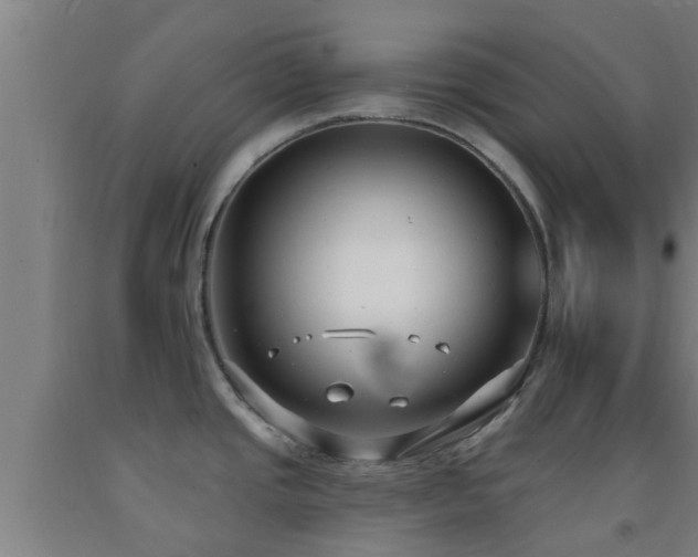 X0000093091437200709261219