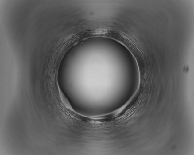 X0000093091441200709261219