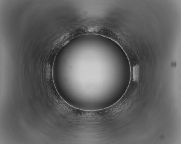 X0000093091443200709261219