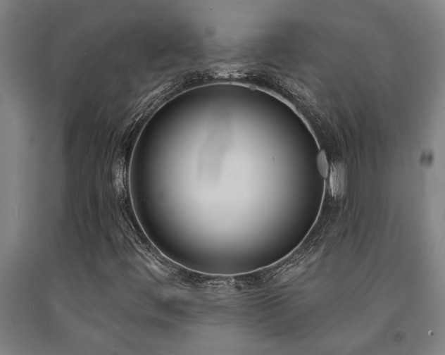 X0000093091444200709261219