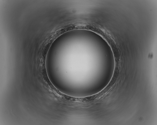 X0000093091445200709261219