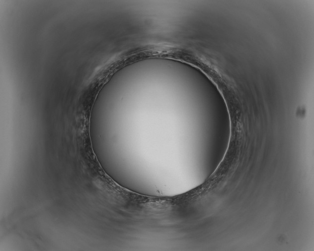 X0000093091447200709261219