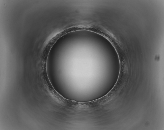 X0000093091448200709261219