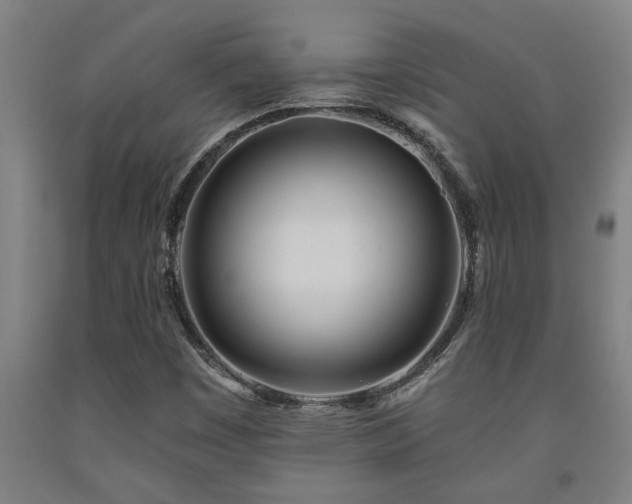 X0000093091449200709261219