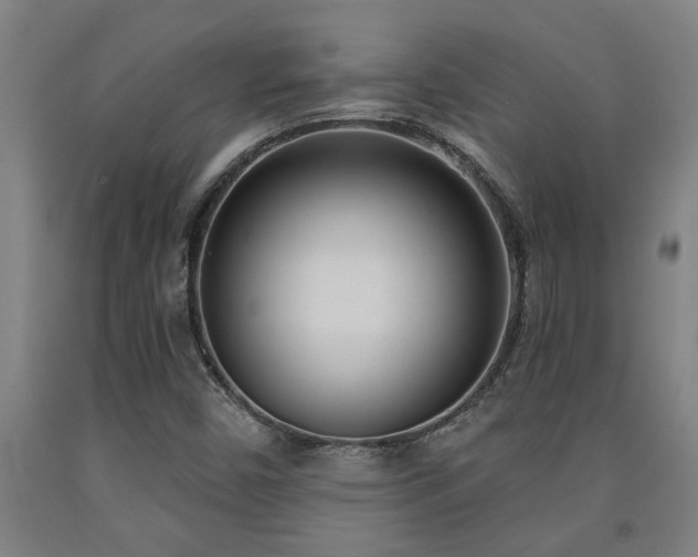 X0000093091450200709261219