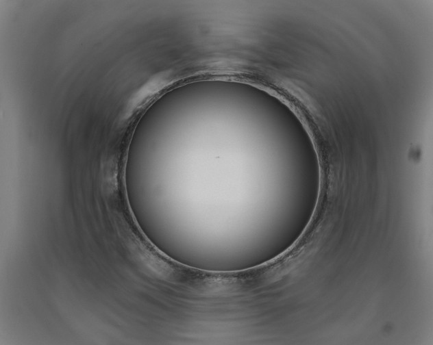 X0000093091451200709261219