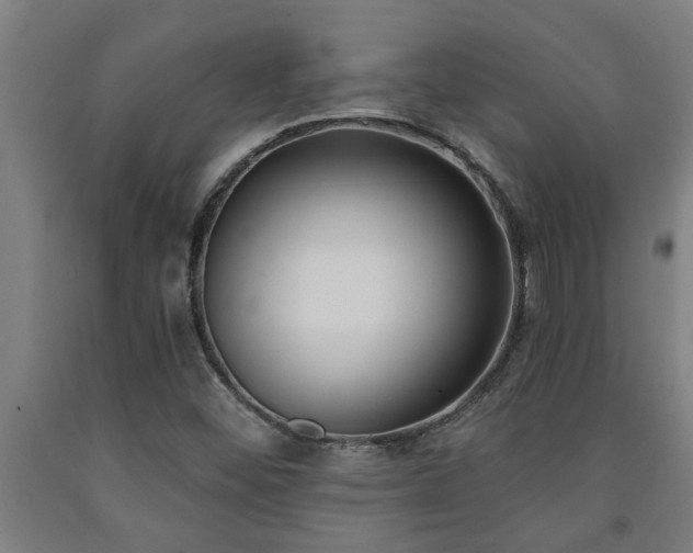 X0000093091452200709261219