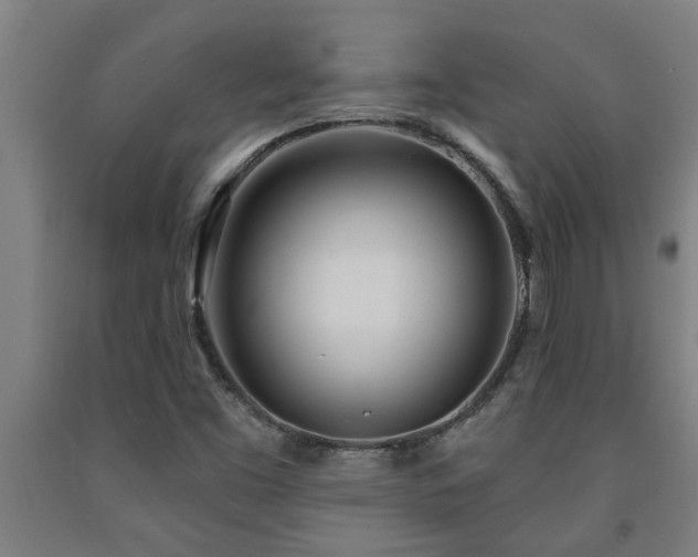 X0000093091453200709261219
