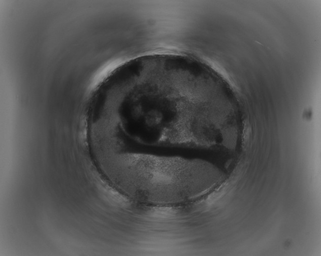 X0000093091455200709261219