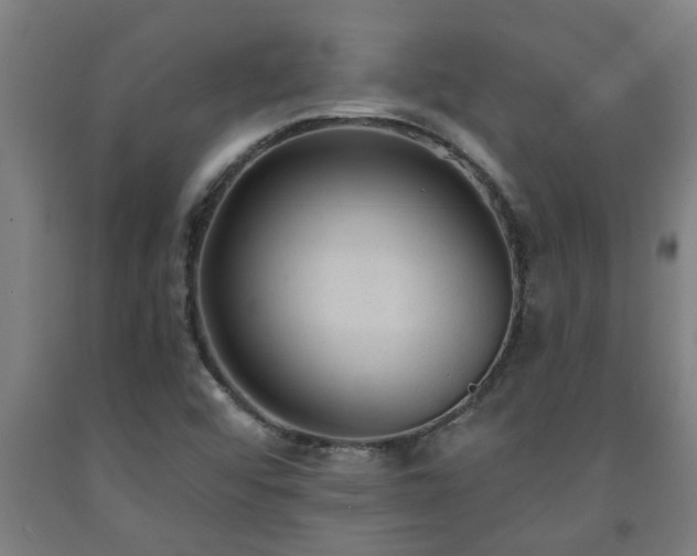 X0000093091456200709261219