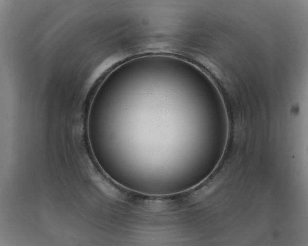 X0000093091458200709261219