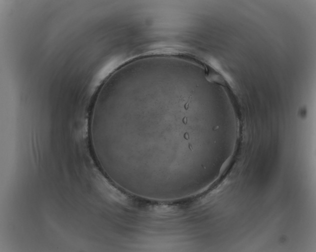 X0000093091459200709261219