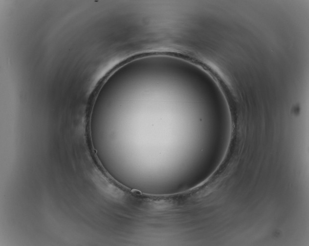 X0000093091460200709261219