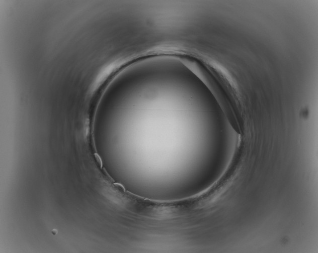 X0000093091461200709261219