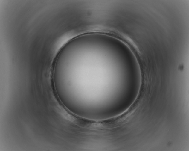 X0000093091463200709261219