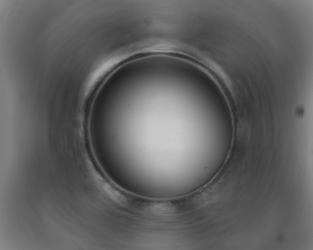 X0000093091464200709261218