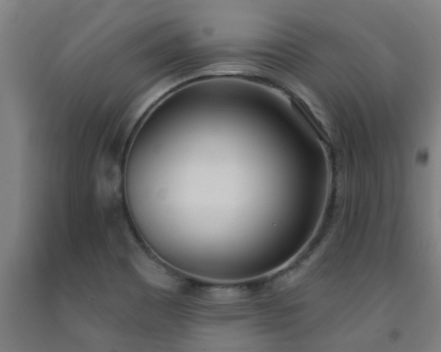 X0000093091465200709261218