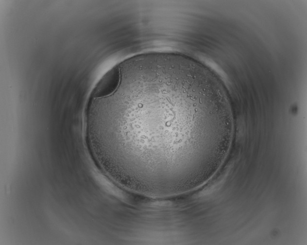 X0000093091467200709261218