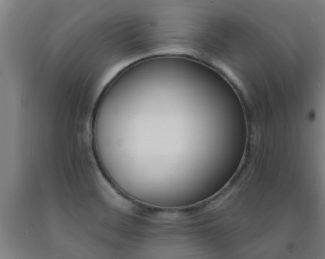 X0000093091468200709261218