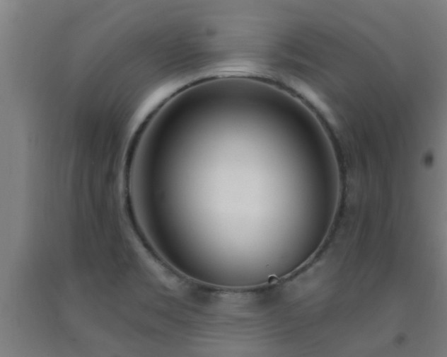 X0000093091469200709261218