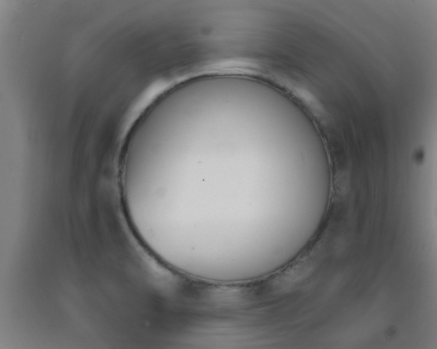 X0000093091470200709261218