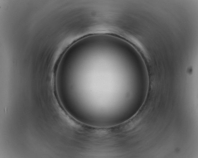 X0000093091472200709261218