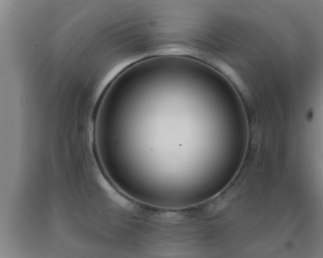 X0000093091476200709261218