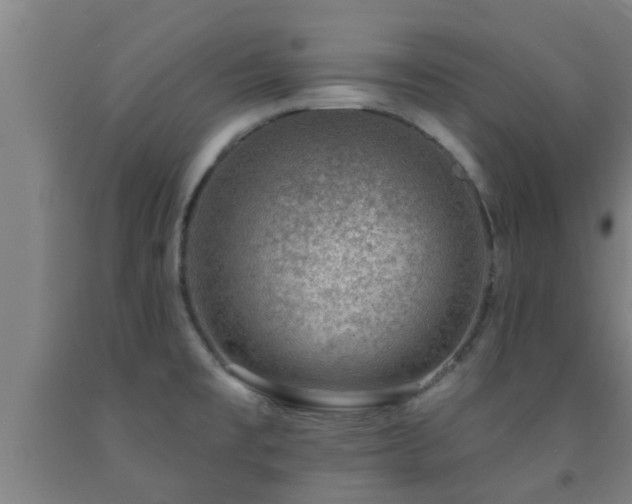 X0000093091477200709261218