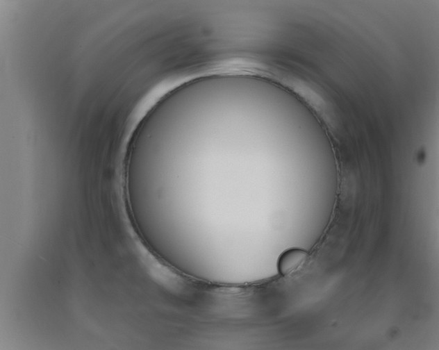 X0000093091478200709261218