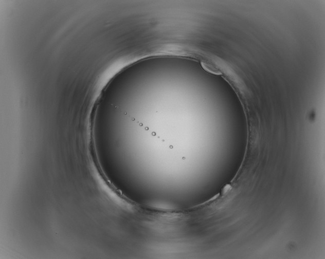 X0000093091479200709261218