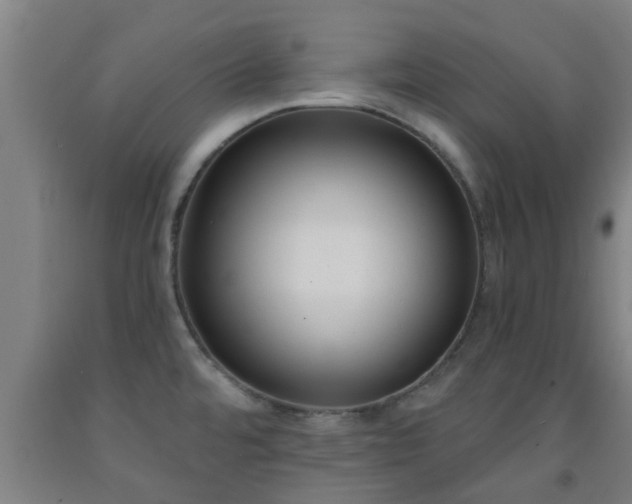 X0000093091480200709261218