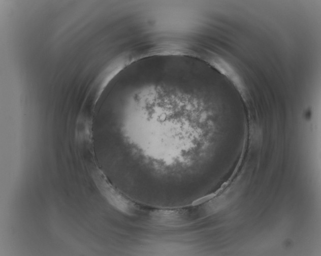 X0000093091481200709261218