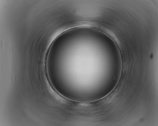 X0000093091483200709261218