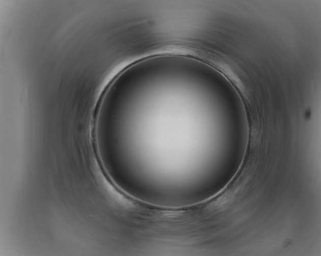 X0000093091484200709261218