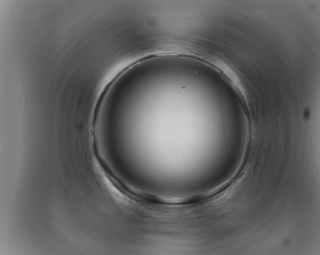 X0000093091485200709261218