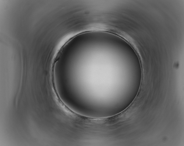 X0000093091488200709261218