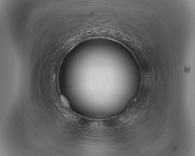 X0000093091489200709261217