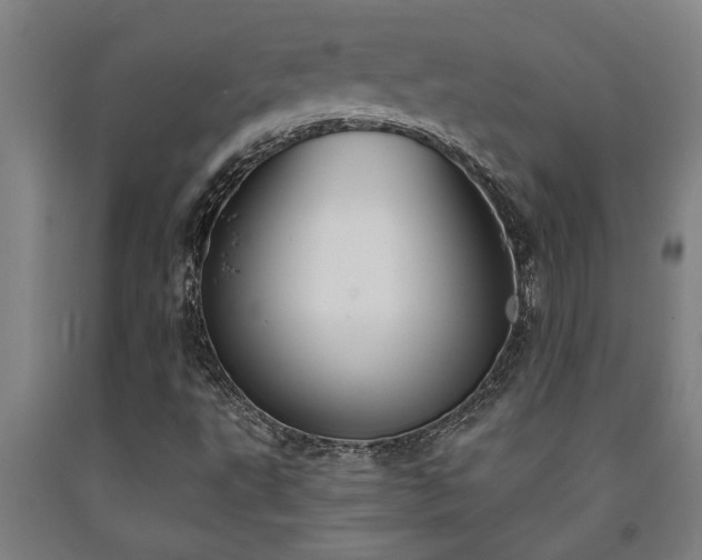 X0000093091495200709261217