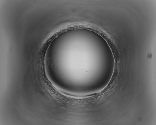 X0000093091496200709261218