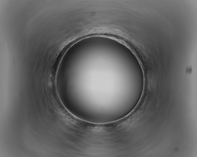 X0000093091497200709261218