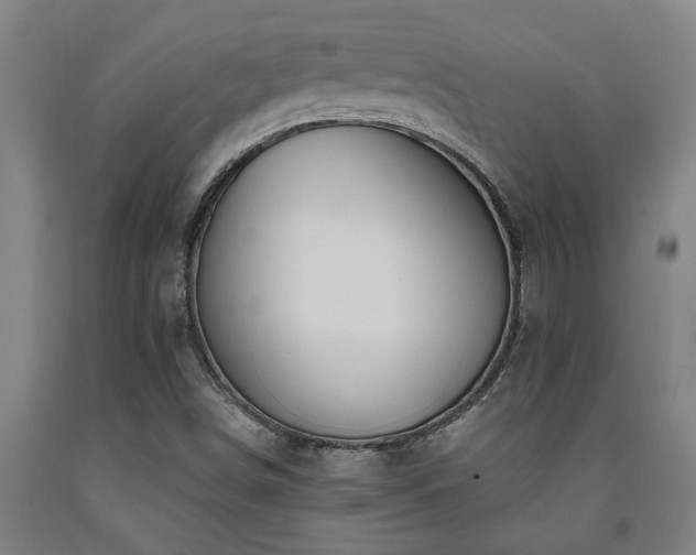 X0000093091498200709261218