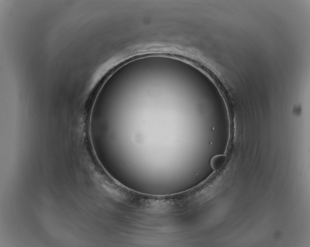 X0000093091501200709261218